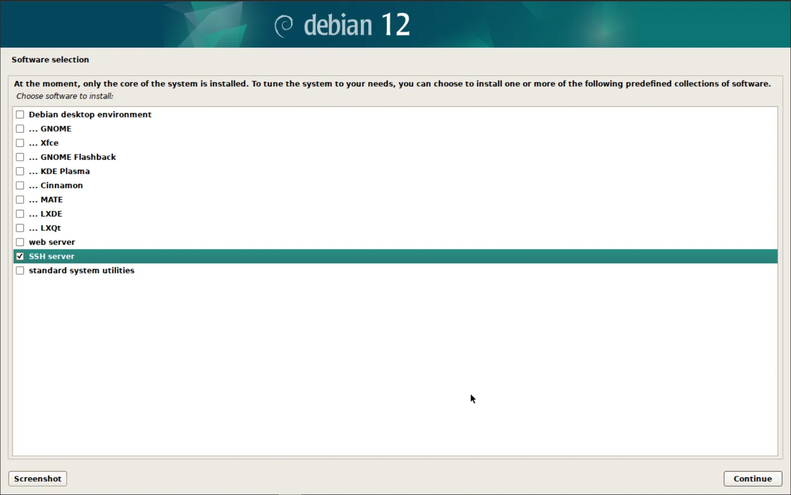 Debian 12 Install Options