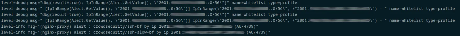crowdsec logs showing rules alerting